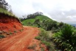 Dschang-Fontem-Bakebe road: studies on the tarring of the road completed